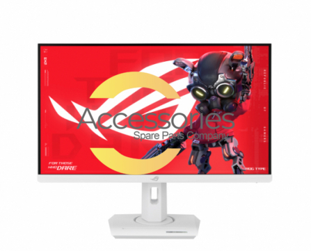 Vente piece Ecran Asus XG27ACG