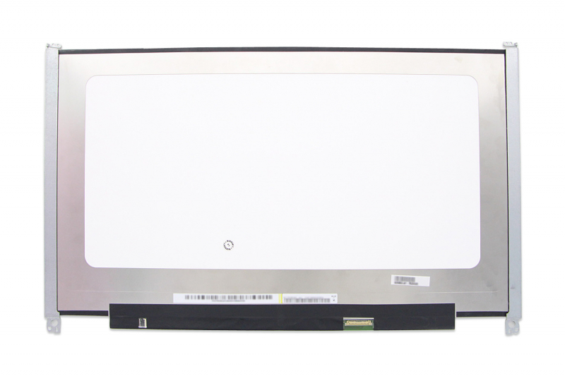 Dalle EDP 17 pouces FHD mat