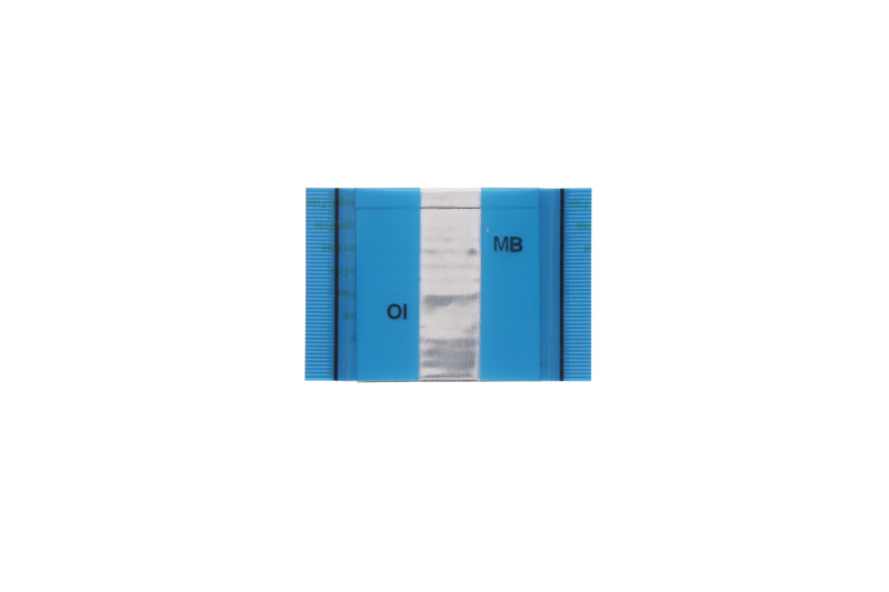 Nappe plate 50 Pins Asus Chromebook - 3.8 cm Câble de liaison 50 Pins Chromebook Asus