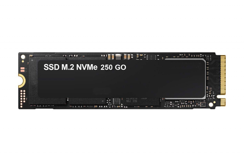 SSD NVMe 250Go SSD 250Go 2.5 pouces