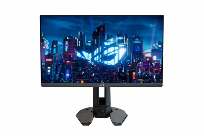 Piece détachee Ecran Asus PG248QP