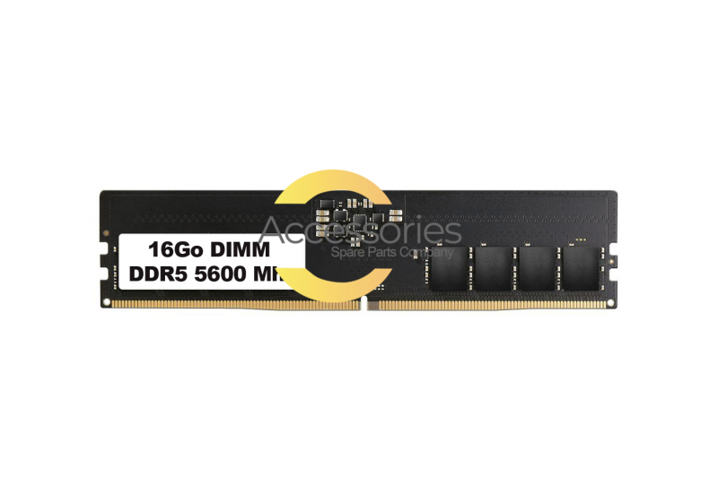 Barrette mémoire DIMM 16 Go DDR5 5600 Mhz Asus