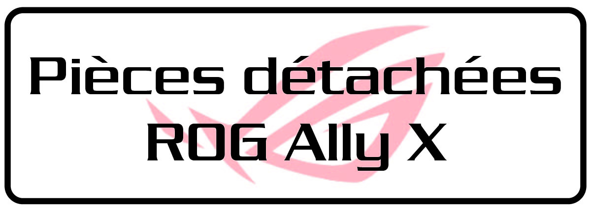 pièces pour ROG Ally X