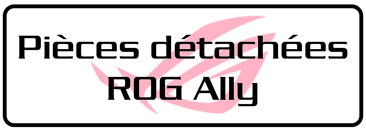 pièces pour rog ally